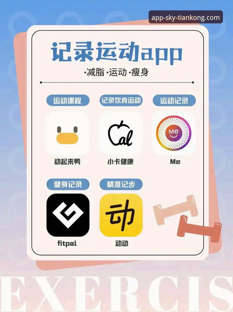 iOS版天空体育APP下载与使用完整指南：解锁移动观赛新体验